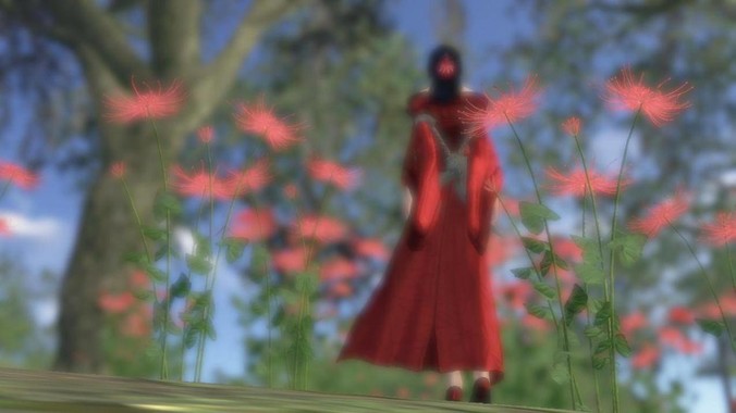 为什么女游泳运动员看起来大部分都是平胸?